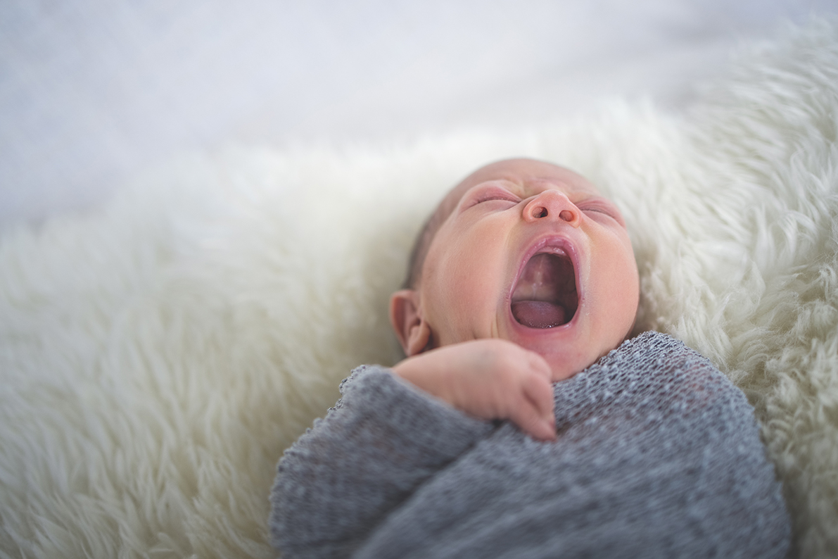 newborn